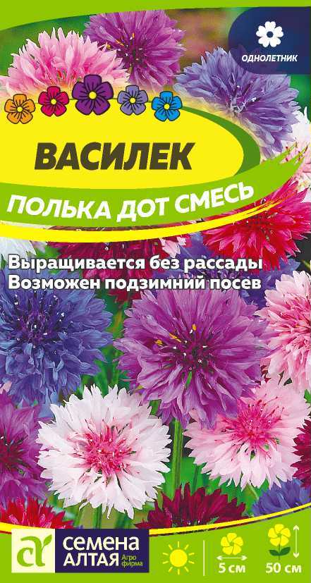 Василек полька дот выращивание из семян. Семена Василек полька ДОТ семена Алтая. Василек низкорослый полька ДОТ. Семена василька низкорослые.