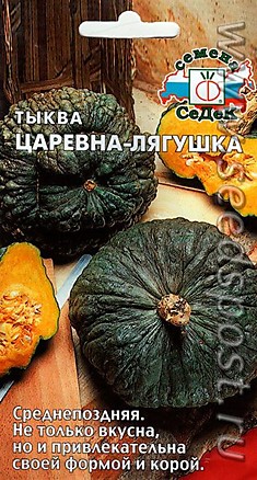 Тыква Царевна лягушка