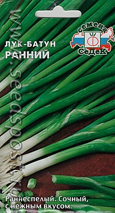 Лук батун Ранний (Седек)