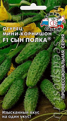 Огурец Сын полка мини-корнишон F1