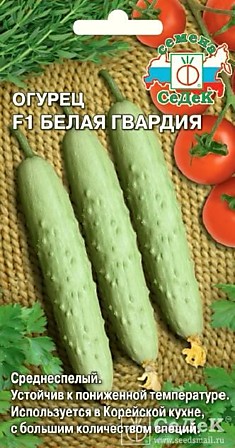 Огурец Белая гвардия