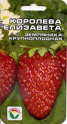 Земляника (клубника) Королева Елизавета (Сиб сад)