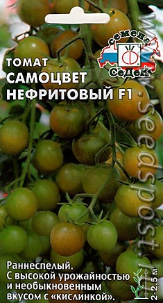 Томат Самоцвет Нефритовый F1