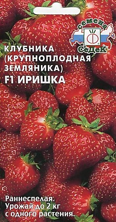 Земляника (клубника) Иришка F1 (Седек)