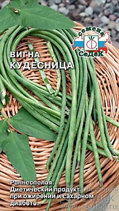 Вигна Кудесница