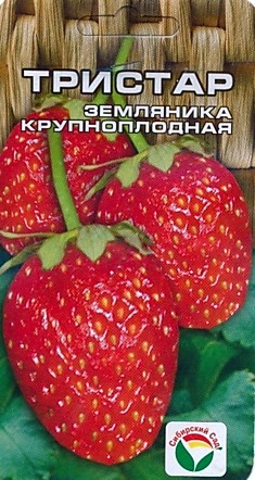 Земляника (клубника) Тристар (Сиб сад)