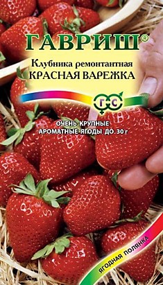 Земляника (клубника) Красная варежка рем (Гавриш)