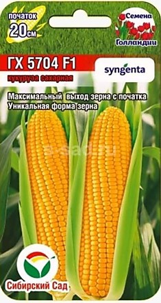 Кукуруза ГХ 5704 F1 Голландия