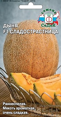 Дыня Сладострастница