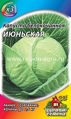 Капуста Июньская металл