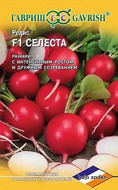 Редис Селеста F1 Голландия