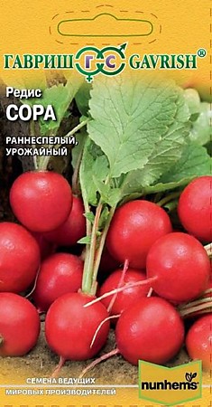 Редис Сора Голландия