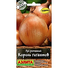 Лук репчат Король Гигантов