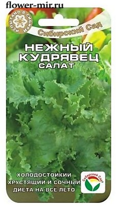 Салат Нежный Кудрявец