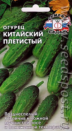 Огурец Китайский Плетистый