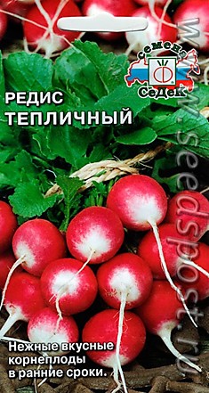 Редис Тепличный