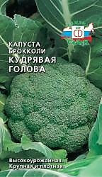 Капуста брокколи Кудрявая голова