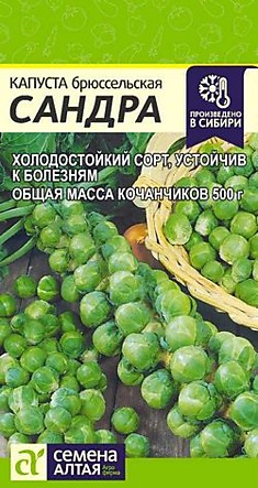 Капуста брюс Сандра