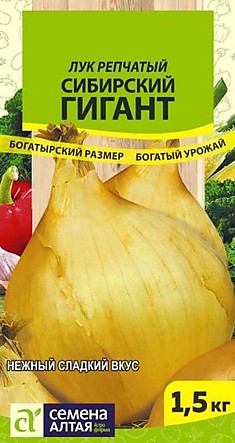 Лук репчат Сибирский Гигант