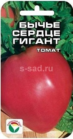 Томат Бычье сердце Гигант