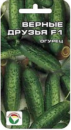 Огурец Верные друзья F1