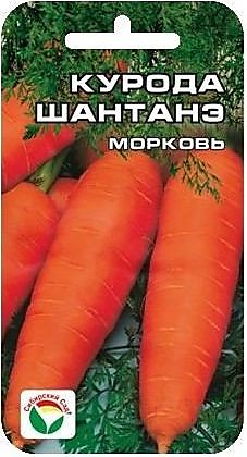 Морковь Курода Шантанэ