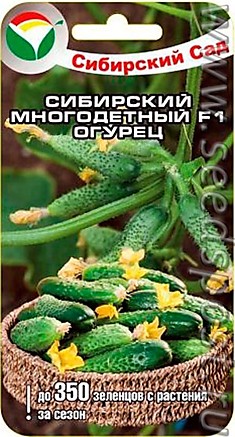 Огурец Сибирский многодетный F1