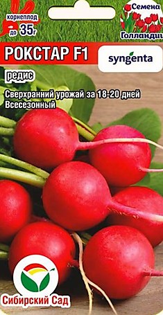 Редис Рокстар F1 Голландия