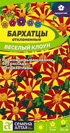 Бархатцы Веселый клоун