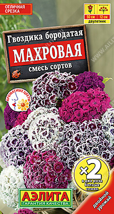 Гвоздика Махровая смесь