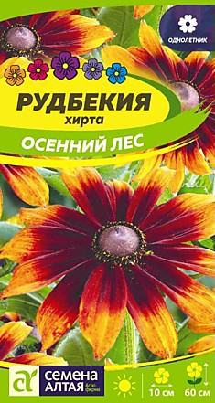 Рудбекия Осенний лес