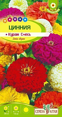 Цинния Кураж карликовая смесь