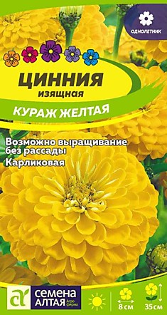 Цинния Кураж карликовая желтая