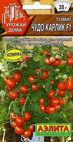 Томат Чудо карлик (Аэлита)